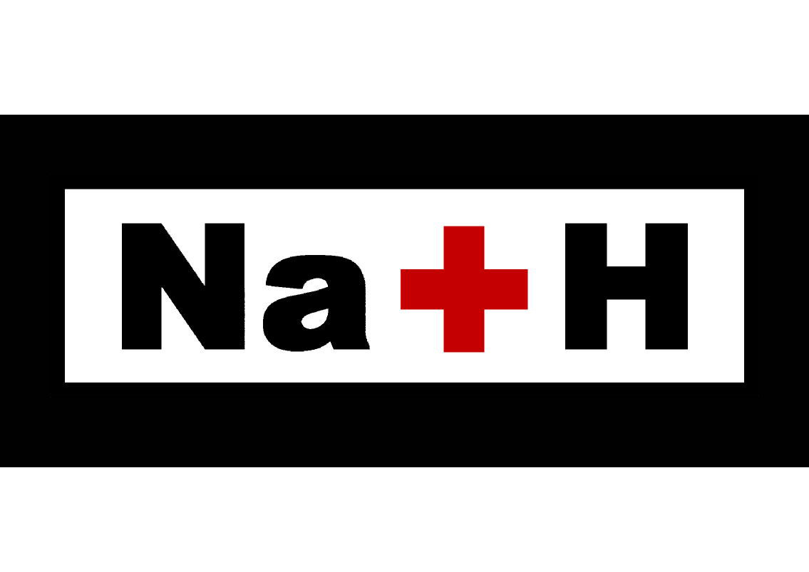 ゴシックブランド Na+H（ナプラッシュ）ロゴ